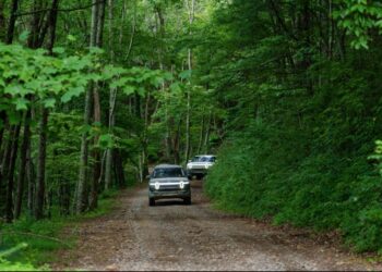 Bank Sector Continues to Consolidate: St. Louis Fed