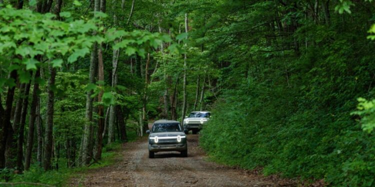 Bank Sector Continues to Consolidate: St. Louis Fed