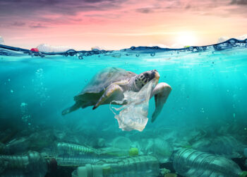 Bank Sector Continues to Consolidate: St. Louis Fed