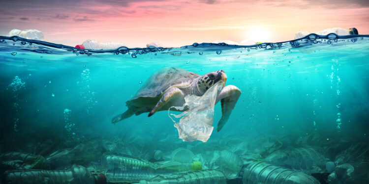 Bank Sector Continues to Consolidate: St. Louis Fed