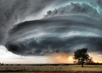 Oracle Acquires Health Records Veteran Cerner