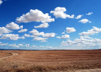 Don’t just adopt cloud computing, adapt to it