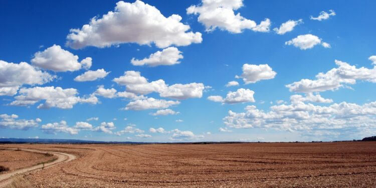 Don’t just adopt cloud computing, adapt to it - CEO North America Don’t just adopt cloud computing, adapt to it