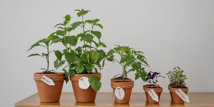 Maximizing value through innovation and sustainability