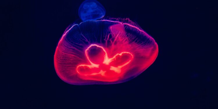 Never the same again: How COVID-19 created seismic change in global life sciences regulations