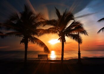 The best places to travel in 2022