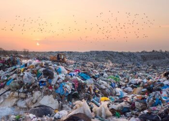 Food Waste and its Links to Greenhouse Gases and Climate Change