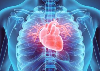 Fatty Acids and Mortality: ARS Scientists Get to the Heart of the Matter