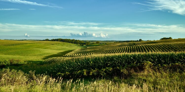 Agricultural Land Values Rose 22% in Midwest in 2021