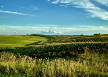 Agricultural Land Values Rose 22% in Midwest in 2021