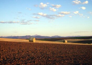 Overcoming the Threats to Global Food Systems from Russia’s Invasion of Ukraine