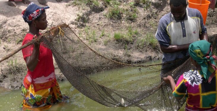 Poor and Vulnerable Countries Need Support to Adapt to Climate Change