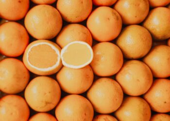 Scaling Technology and Innovations for Future Food Systems