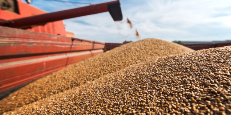 Mass Hunger in Ukraine & Rejecting Fossil Fuels Despite Rising Energy Prices | Stories of the Week