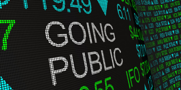 Entrepreneurs Weigh in on Maximizing Today’s IPO Market