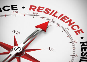 Building a Mutually Reinforcing System of Organizational and Personal Resilience