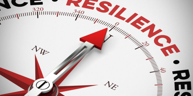 <strong>Building a Mutually Reinforcing System of Organizational and Personal Resilience</strong> - CEO North America Building a Mutually Reinforcing System of Organizational and Personal Resilience