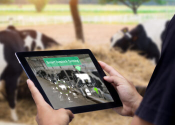 Future of Work: Digital Skills in the Food Industry