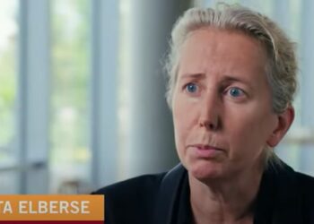 Professor Anita Elberse: Storytelling / Harvard Business School