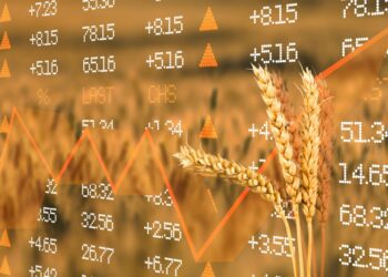 Sizzling Food Prices are Leading to Global Heartburn