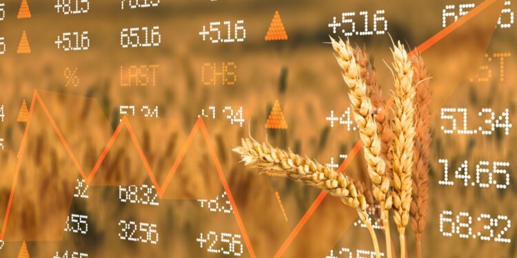 Sizzling Food Prices are Leading to Global Heartburn