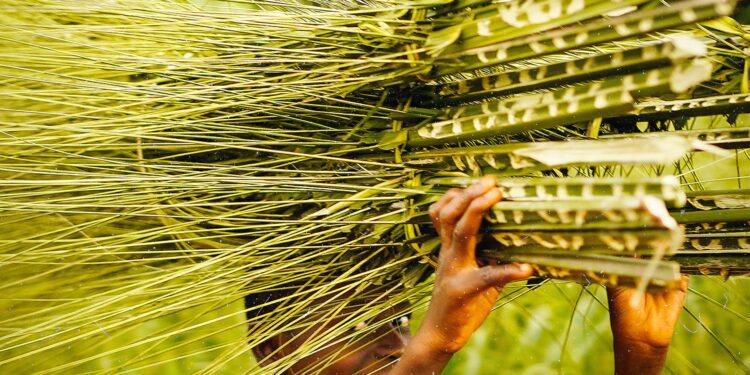 A taste of nomadic food culture