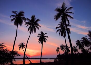 The path to global health equity is through neglected tropical diseases. Here’s why.