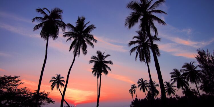 The path to global health equity is through neglected tropical diseases. Here’s why.