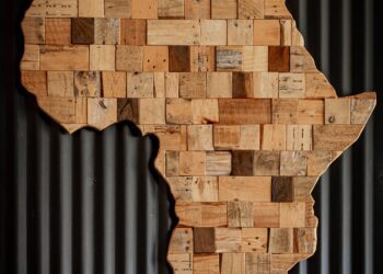 Preparing for Africa’s growing global role: Davos