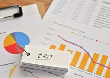 Risk oversight and the board: navigating the evolving terrain