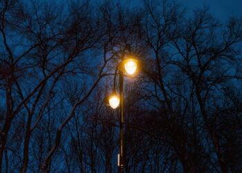 Beyond the ‘lamppost theory’ of economic policy