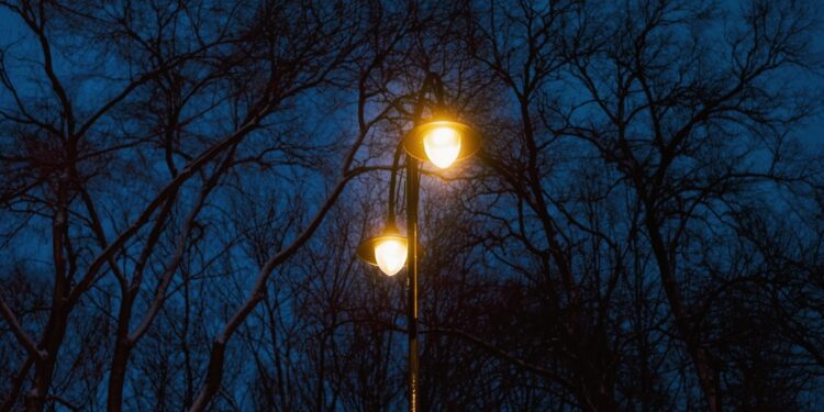 Beyond the ‘lamppost theory’ of economic policy