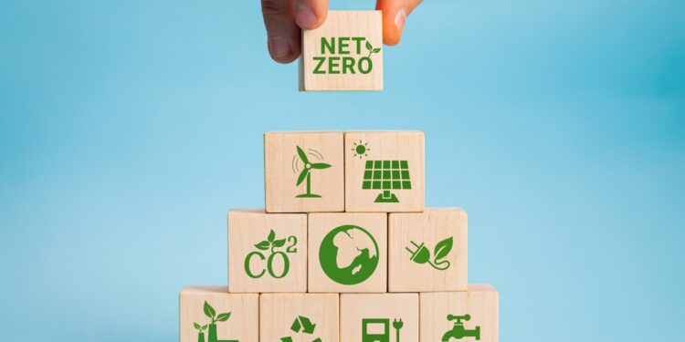 Four steps financial institutions can take on the path to net zero