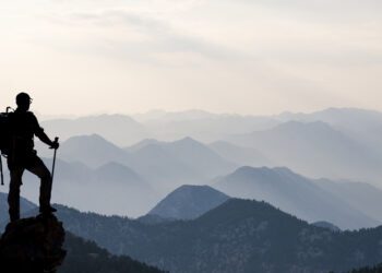 Balancing purpose and profit