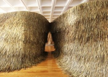 Architecture Isn’t Just for Humans Anymore