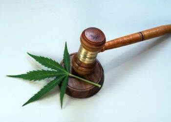 Biden’s Move to Pardon Cannabis Convictions Boosts Potential for Marijuana Companies&nbsp;