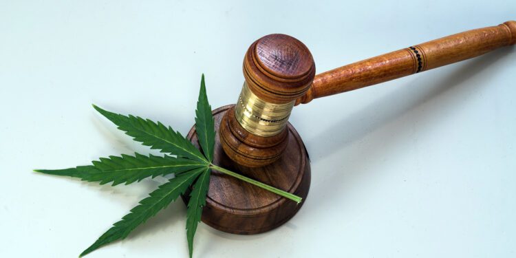 Biden’s Move to Pardon Cannabis Convictions Boosts Potential for Marijuana Companies&nbsp;
