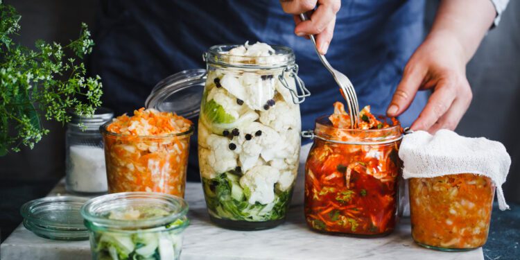 Fermented Foods for Better Gut Health - CEO North America Fermented Foods for Better Gut Health