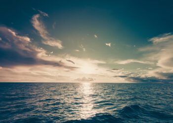 Did the COPs rise to meet our oceans’ biggest challenge? 