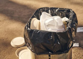 Canada enters 2023 with ban on single use plastics