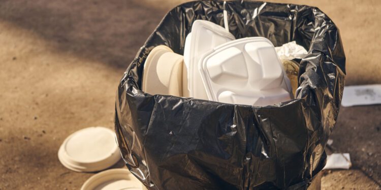 Canada enters 2023 with ban on single use plastics