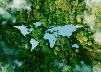 At COP15, investors announce Nature Action 100 to tackle nature loss and biodiversity decline