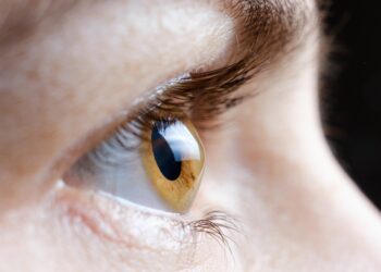 Researchers use 3D bioprinting to create eye tissue