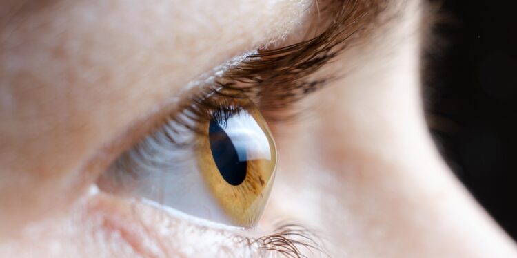 Researchers use 3D bioprinting to create eye tissue