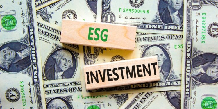 What Investors Should Expect for ESG in 2023 - CEO North America What Investors Should Expect for ESG in 2023