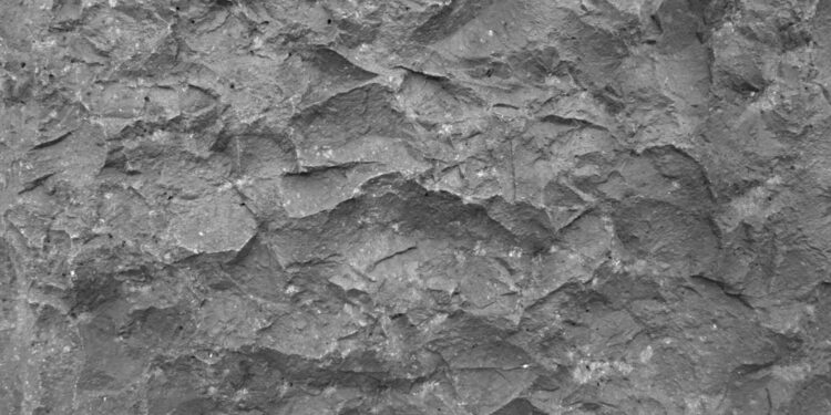 With Major Prize, a Project to Turn Carbon Emissions to Stone Gains Momentum - CEO North America With Major Prize, a Project to Turn Carbon Emissions to Stone Gains Momentum