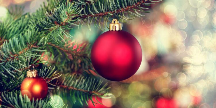 Instacart to Offer Christmas Tree Deliveries