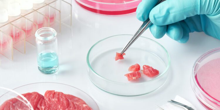 Is cellular agriculture the food of the future? - CEO North America Is cellular agriculture the food of the future?