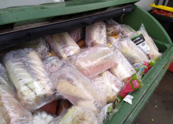 Food waste in America 2023