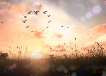 2023 Will Test Companies’ Commitment to Social Responsibility